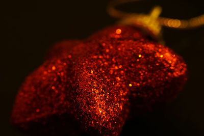 Close-up of red chili pepper against black background