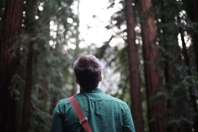 Rear view of man in forest