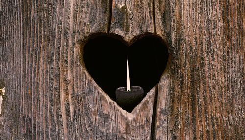 Close-up of wooden plank