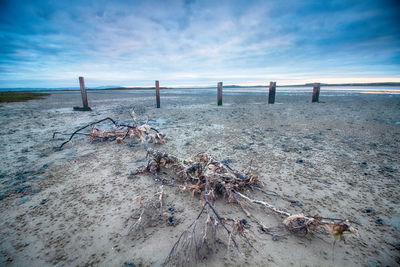 Wooden posts on beach against sky