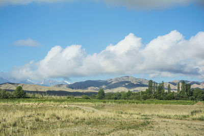 Scenic view of field against sky