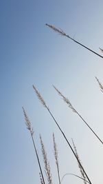 Low angle view of cables against clear sky