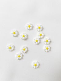 Close-up of white daisy flowers