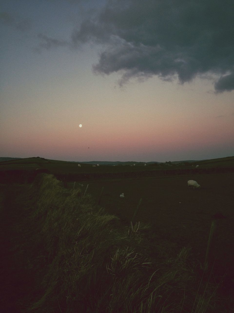 sunset, sky, tranquil scene, tranquility, scenics, landscape, beauty in nature, field, nature, idyllic, cloud - sky, sun, silhouette, dusk, grass, rural scene, outdoors, horizon over land, cloud, no people