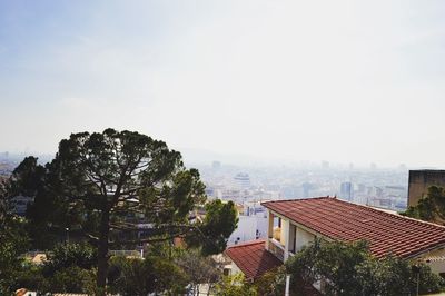 Houses and trees against clear sky