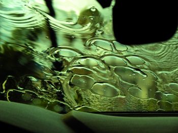 Close-up of water drop on leaf