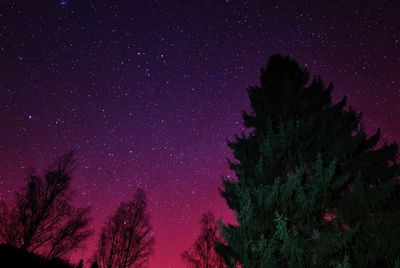 Low angle view of stars in sky