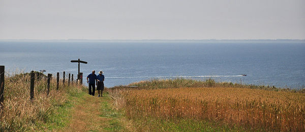 Rear view of men standing on shore against sky
