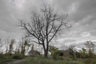Bare trees on landscape against cloudy sky