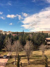 Trees and buildings on field against sky