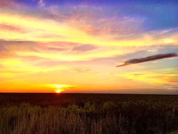 Scenic view of landscape at sunset