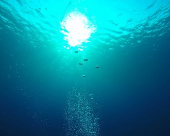 Bubbles swimming in sea