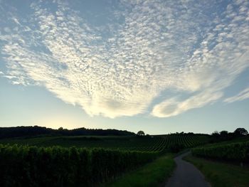 Scenic view of field against cloudy sky