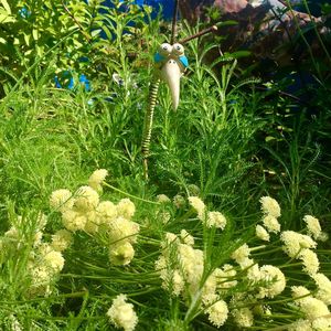 White flowers on field