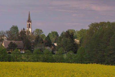 Built structure with trees in background