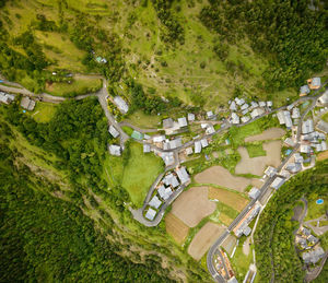 High angle view of road amidst trees and buildings