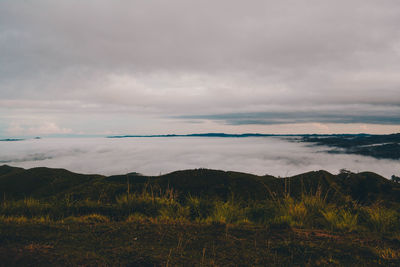 Scenic view of landscape against sky