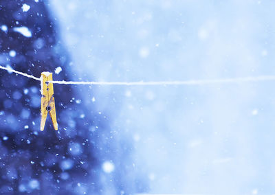 Close-up of ice crystals against blue sky