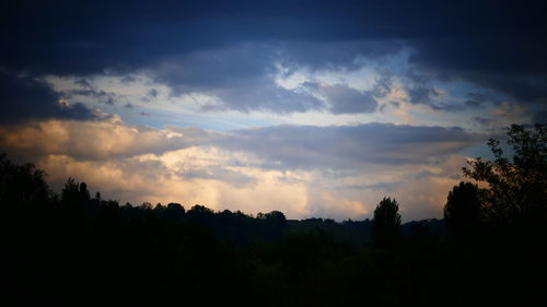 Silhouette trees in forest against sky at sunset