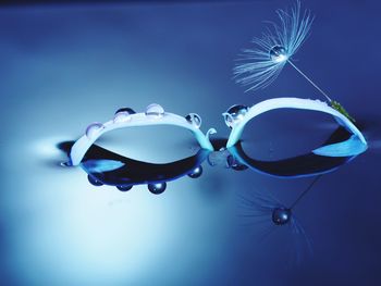 Close-up of jellyfish against blue background