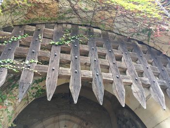 Close-up of roof against trees