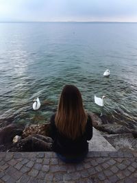 Rear view of woman sitting on retaining wall by swans in sea