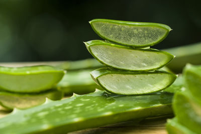 Close-up of fresh green leaf in water