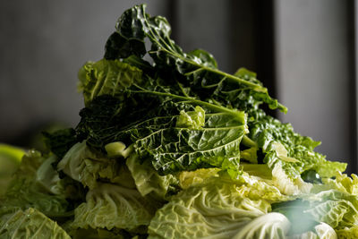 Close-up of vegetable leaves