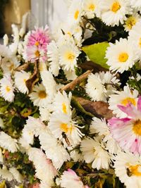 Close-up of white flowers