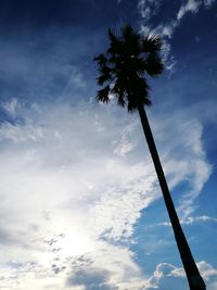 Low angle view of coconut palm tree against sky