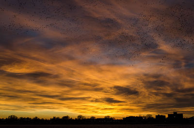 Low angle view silhouette of birds against sky during sunset