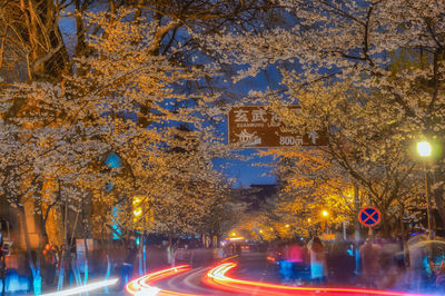 Road in city at night