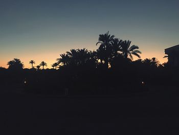 Silhouette trees against sky during sunset