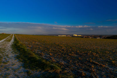 Scenic view of field against blue sky