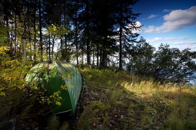 Scenic view of trees growing on field against sky