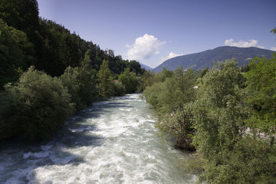 Scenic view of river amidst trees against sky