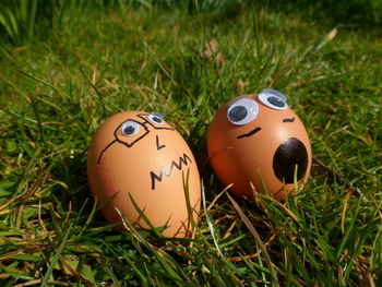 Close-up of faces drawn on easter eggs in lawn