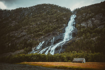 Scenic view of waterfall in forest