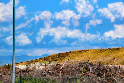 Scenic view of land against sky