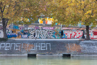 Graffiti on wall by trees during autumn