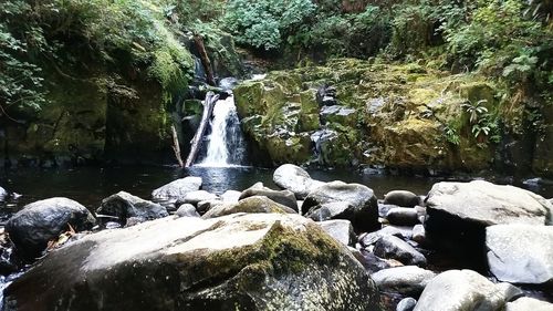 Scenic view of waterfall