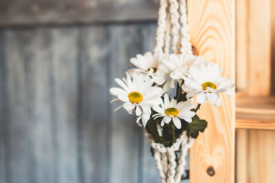 Bouquet of white daisy flowers in white knitted macrame pot. selective focus