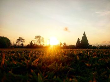 Scenic view of landscape at sunset