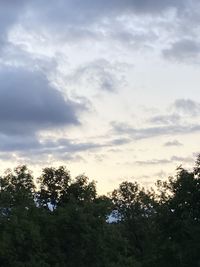 Low angle view of silhouette trees against sky