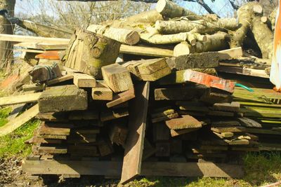 Heap of logs