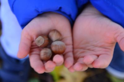Close-up of hand holding fruit