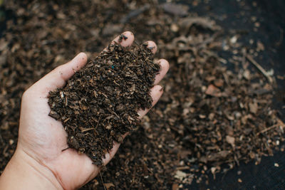 Close-up of person hand holding mud