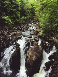 Stream flowing through rocks in forest