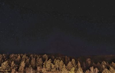 Scenic view of star field at night