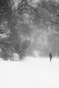 Silhouette of people on snow covered landscape